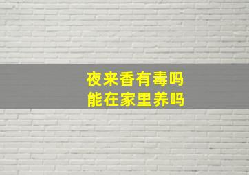 夜来香有毒吗 能在家里养吗